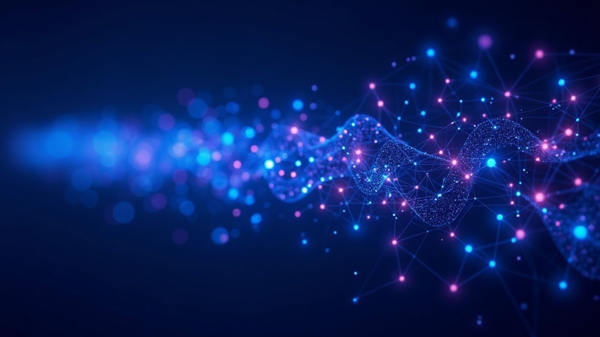 KI Konzept Neural Network